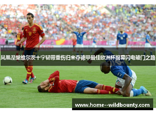 凤凰涅槃维尔茨十字韧带重伤归来夺德甲最佳欧洲杯揭幕闪电破门之路 凤凰涅槃维尔茨十字韧带重伤归来夺德甲最佳欧洲杯揭幕闪电破门之路