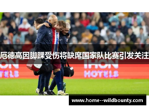 厄德高因脚踝受伤将缺席国家队比赛引发关注 厄德高因脚踝受伤将缺席国家队比赛引发关注